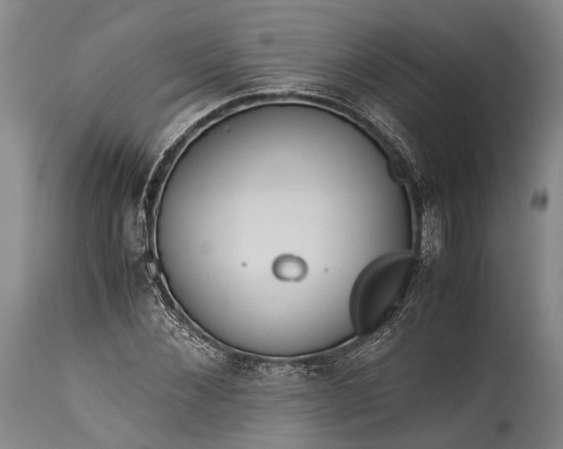 X0000115310876200911161719