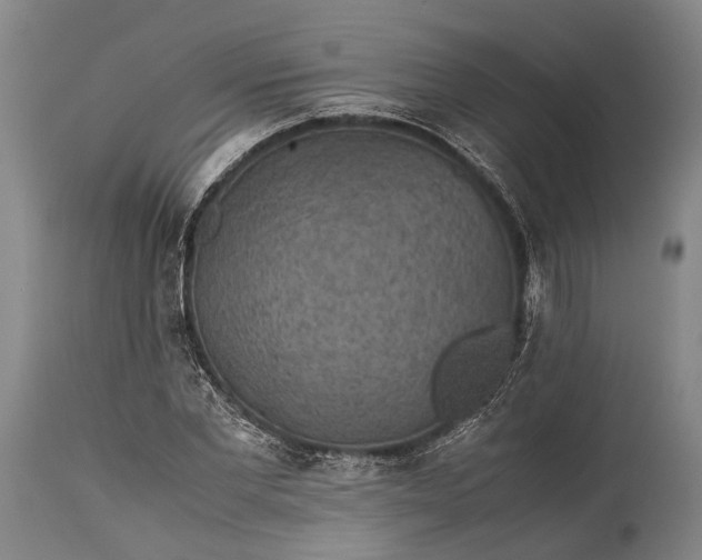 X0000115310877200911161719