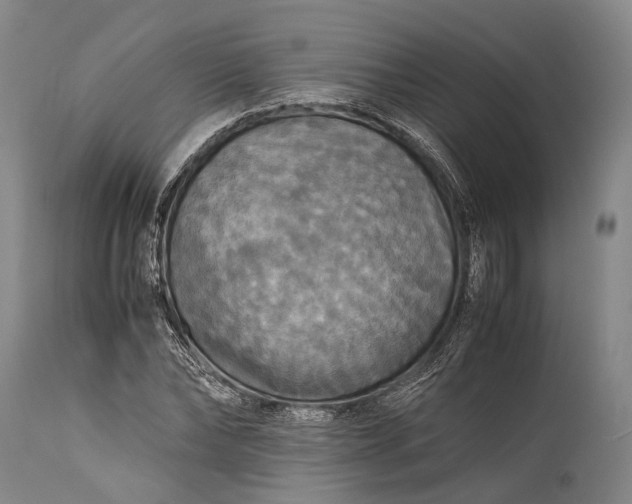 X0000115310878200911161719