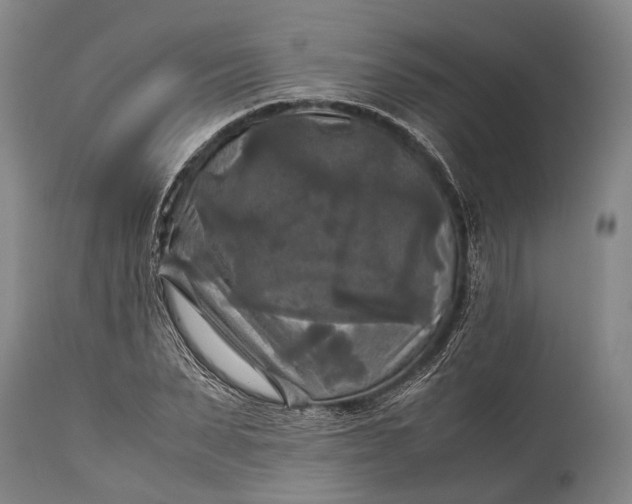 X0000115310879200911161719