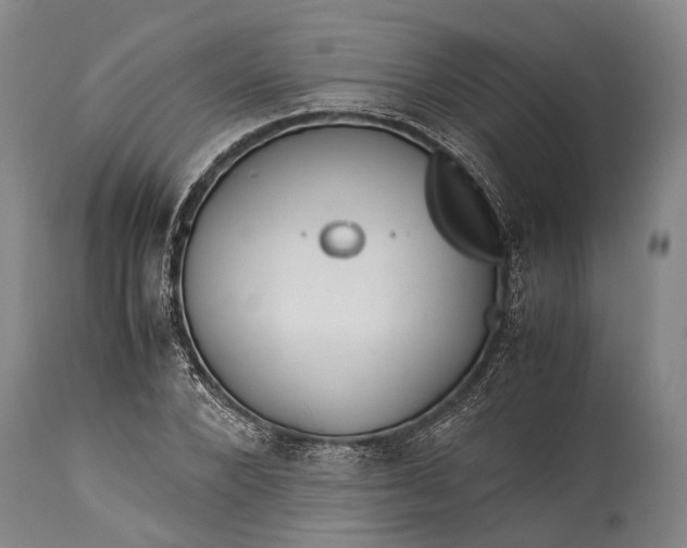 X0000115310880200911161719