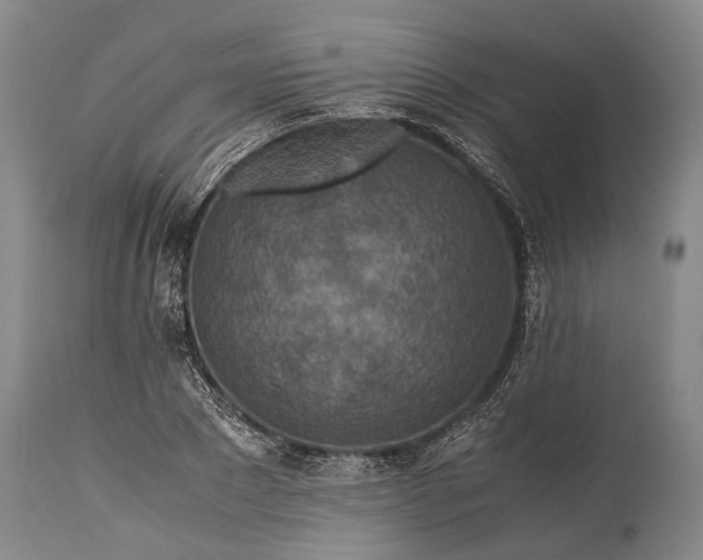 X0000115310881200911161719