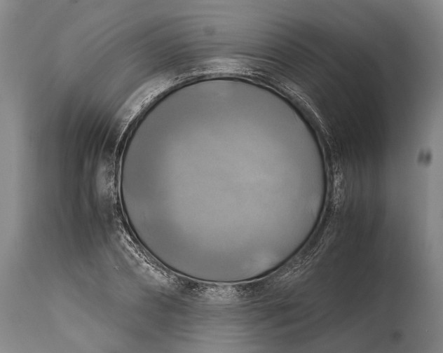 X0000115310882200911161719