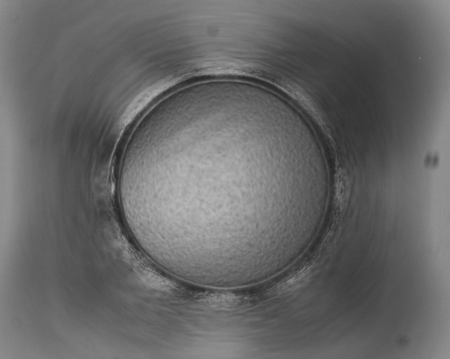 X0000115310885200911161718