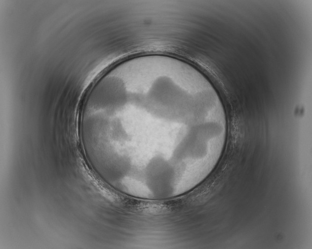 X0000115310886200911161718