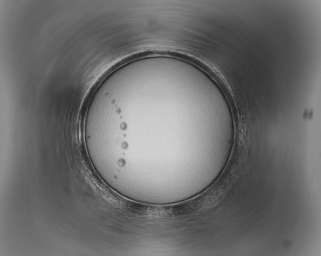 X0000115310887200911161718