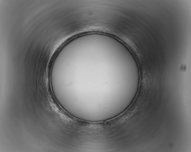 X0000115310888200911161718