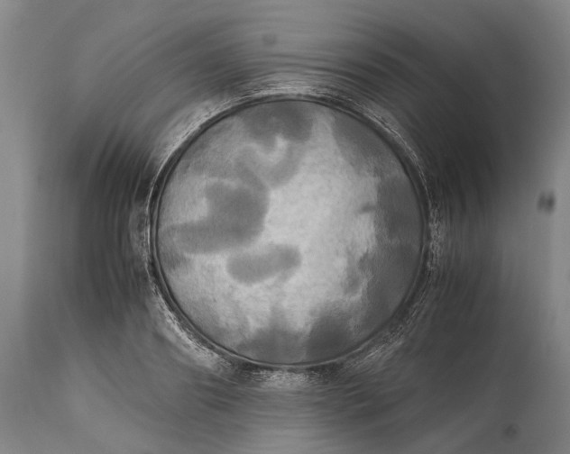 X0000115310890200911161718