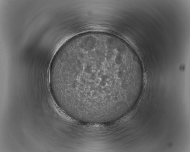 X0000115310891200911161718