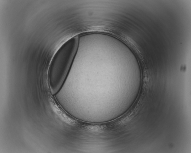 X0000115310892200911161718