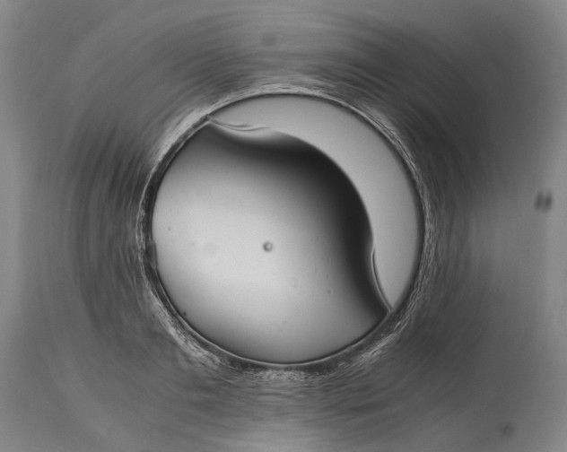 X0000115310893200911161718