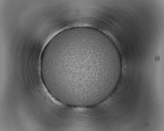 X0000115310894200911161718