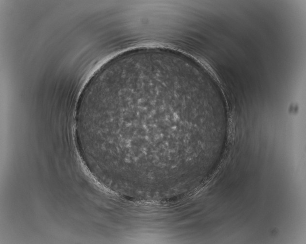 X0000115310895200911161718