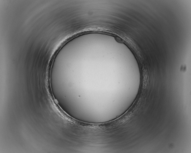 X0000115310896200911161718