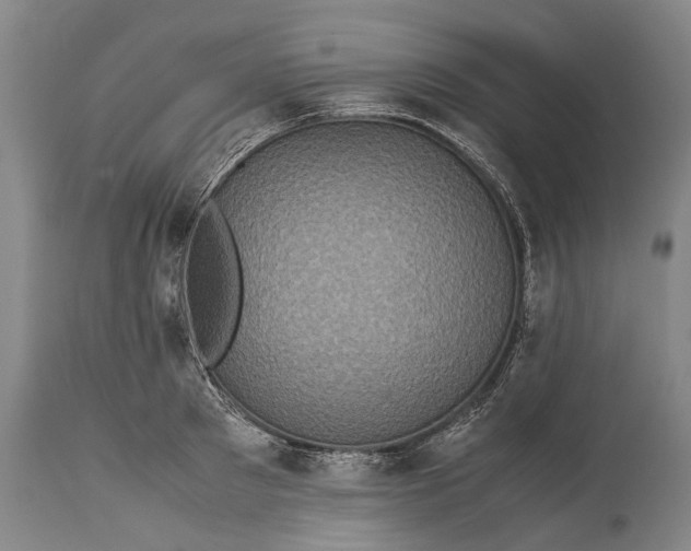 X0000115310897200911161718