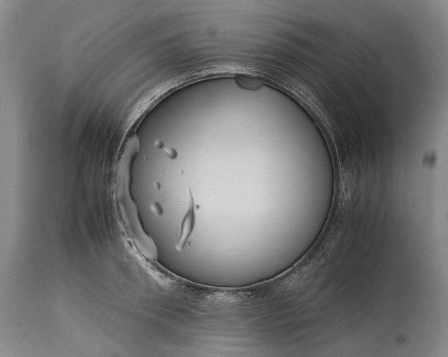 X0000115310898200911161718