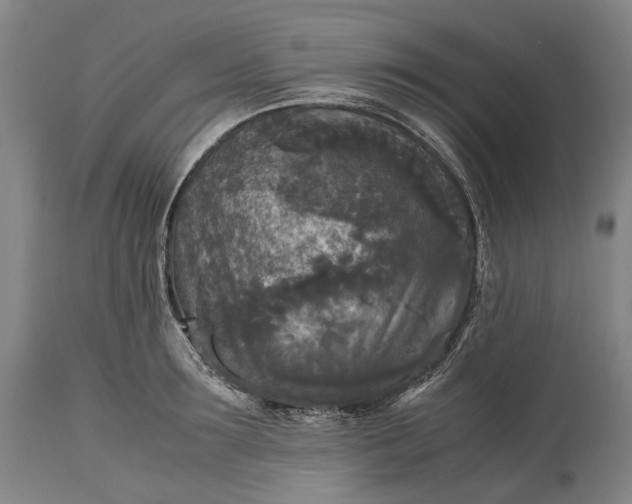 X0000115310899200911161718