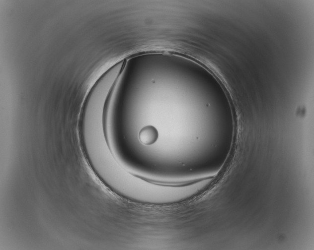 X0000115310901200911161718