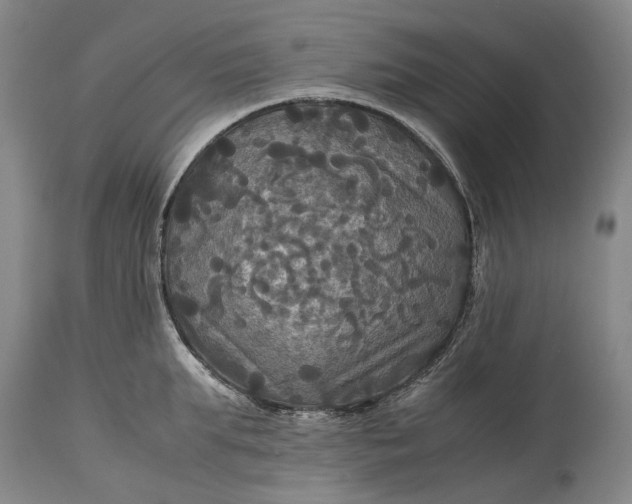 X0000115310903200911161718