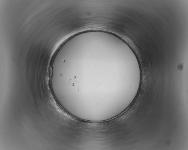 X0000115310904200911161718