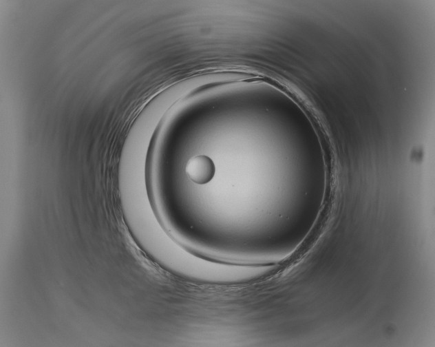 X0000115310905200911161718