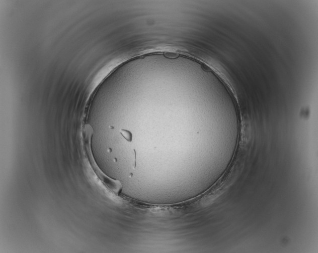 X0000115310906200911161718