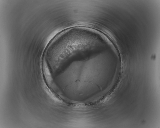 X0000115310907200911161718