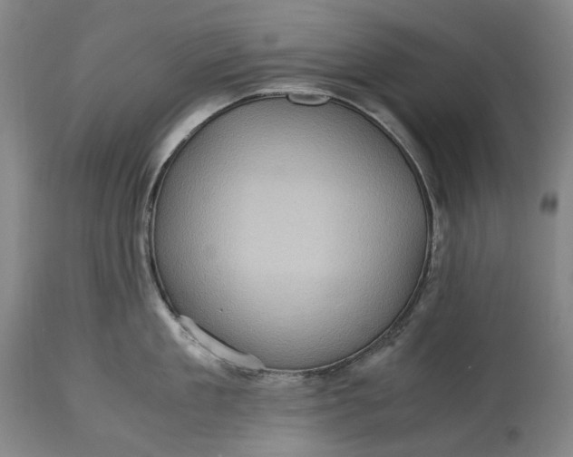 X0000115310909200911161718