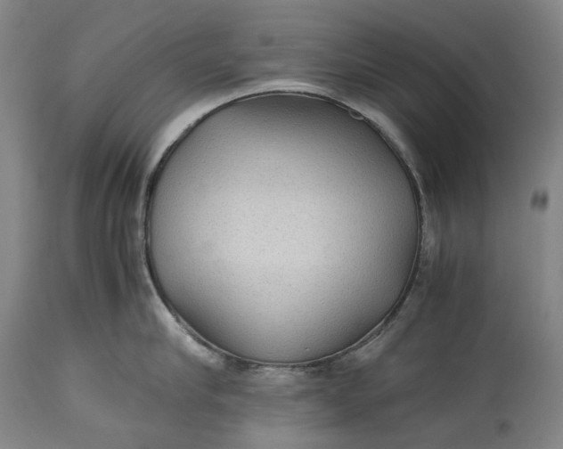 X0000115310910200911161718