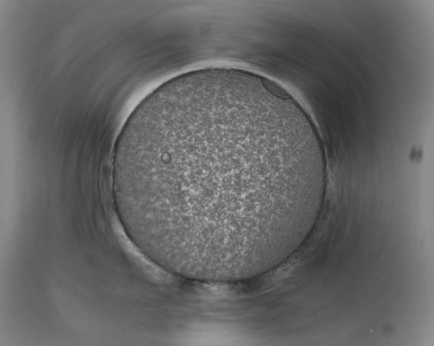 X0000115310911200911161718