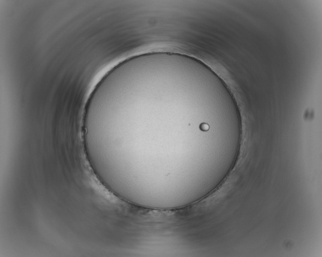 X0000115310912200911161718