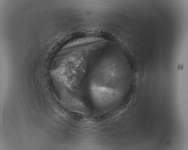 X0000115310913200911161717