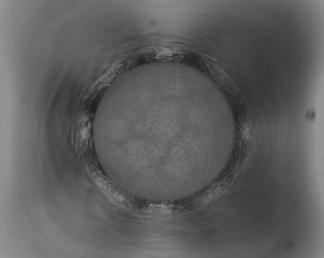 X0000115310914200911161717