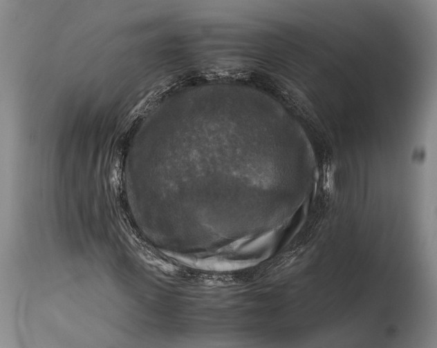 X0000115310915200911161717