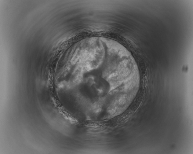 X0000115310917200911161717