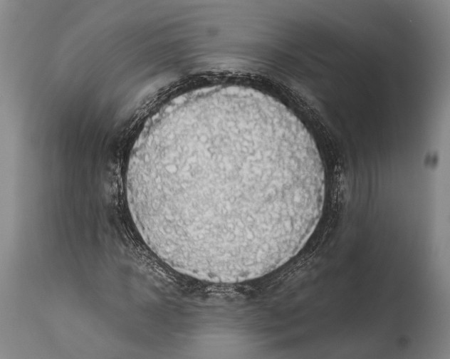 X0000115310918200911161717