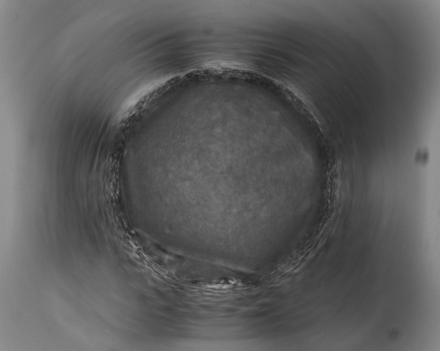 X0000115310919200911161717