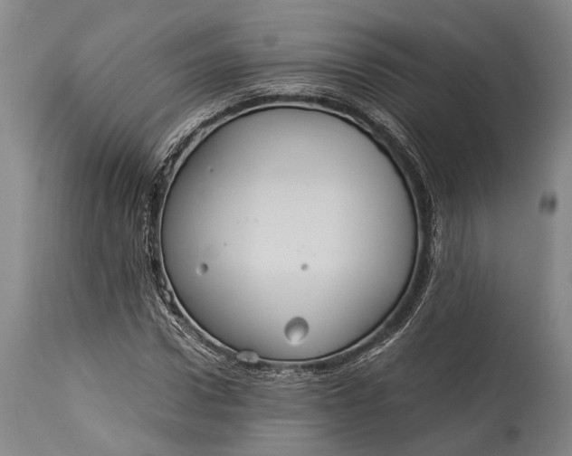 X0000115310922200911161717