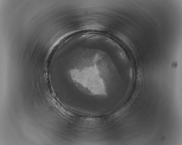 X0000115310923200911161717