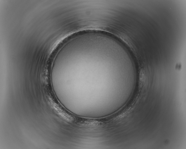 X0000115310926200911161717