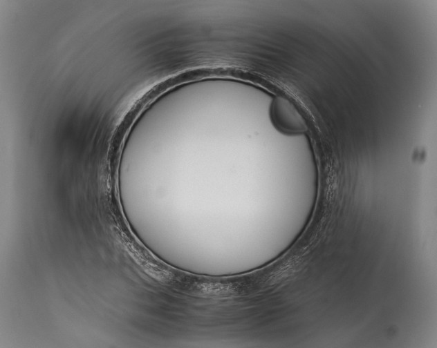 X0000115310927200911161717