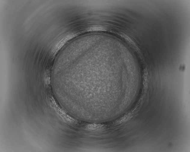 X0000115310929200911161717