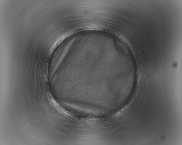 X0000115310930200911161718