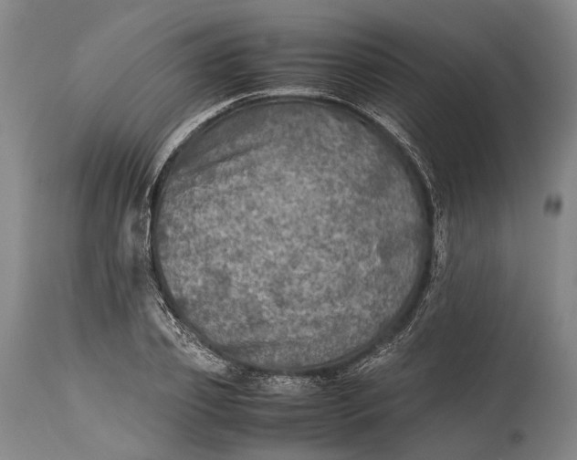 X0000115310933200911161718