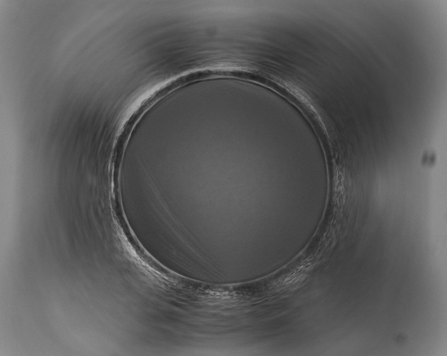 X0000115310935200911161718