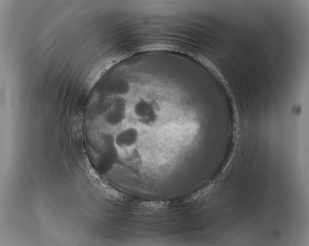 X0000115310937200911161718