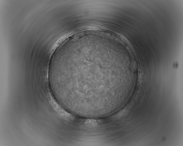 X0000115310938200911161718