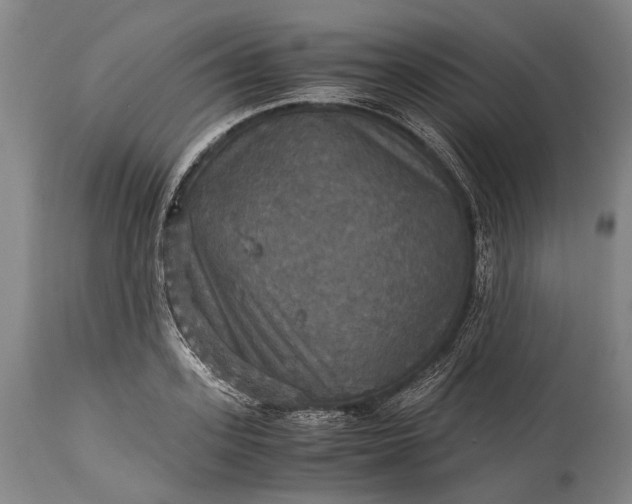 X0000115310939200911161718