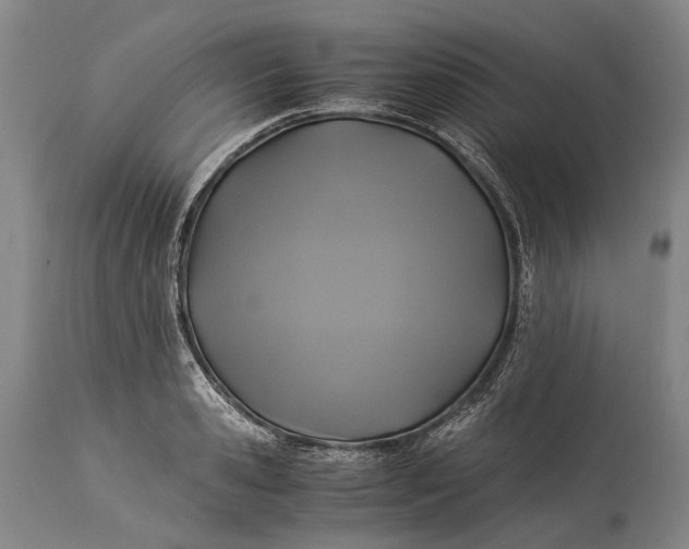 X0000115310941200911161718