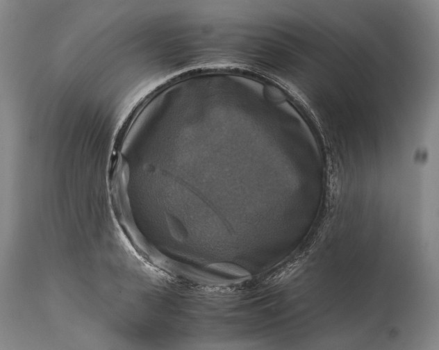 X0000115310943200911161718